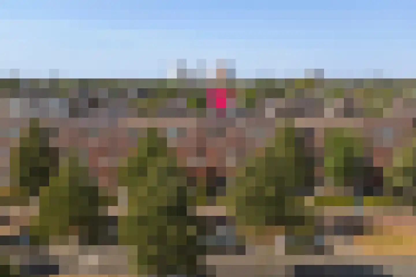 Laan van Magisch Realisme 19 A Rotterdam thumbnail 5