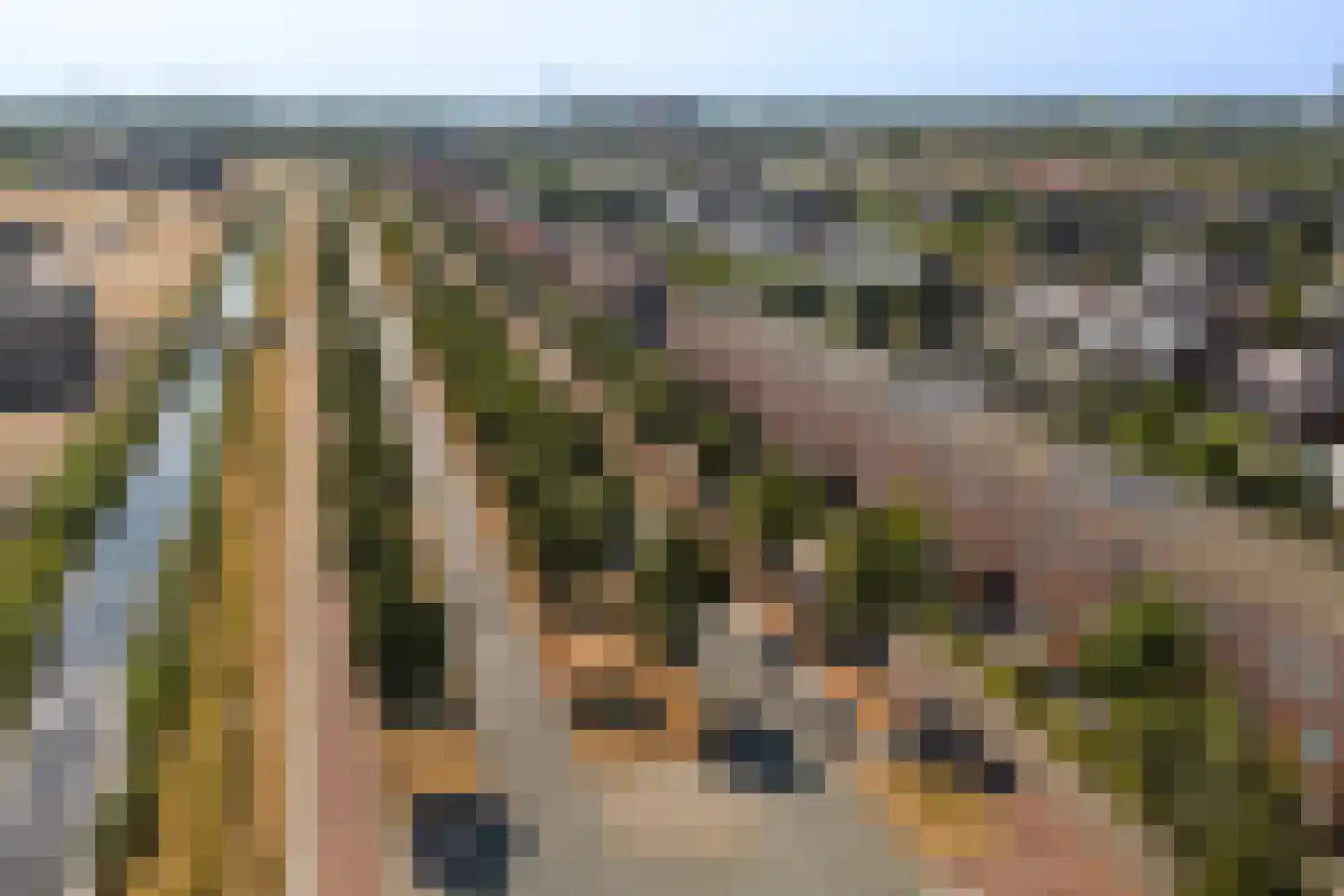 Laan van Magisch Realisme 19 A Rotterdam thumbnail 51