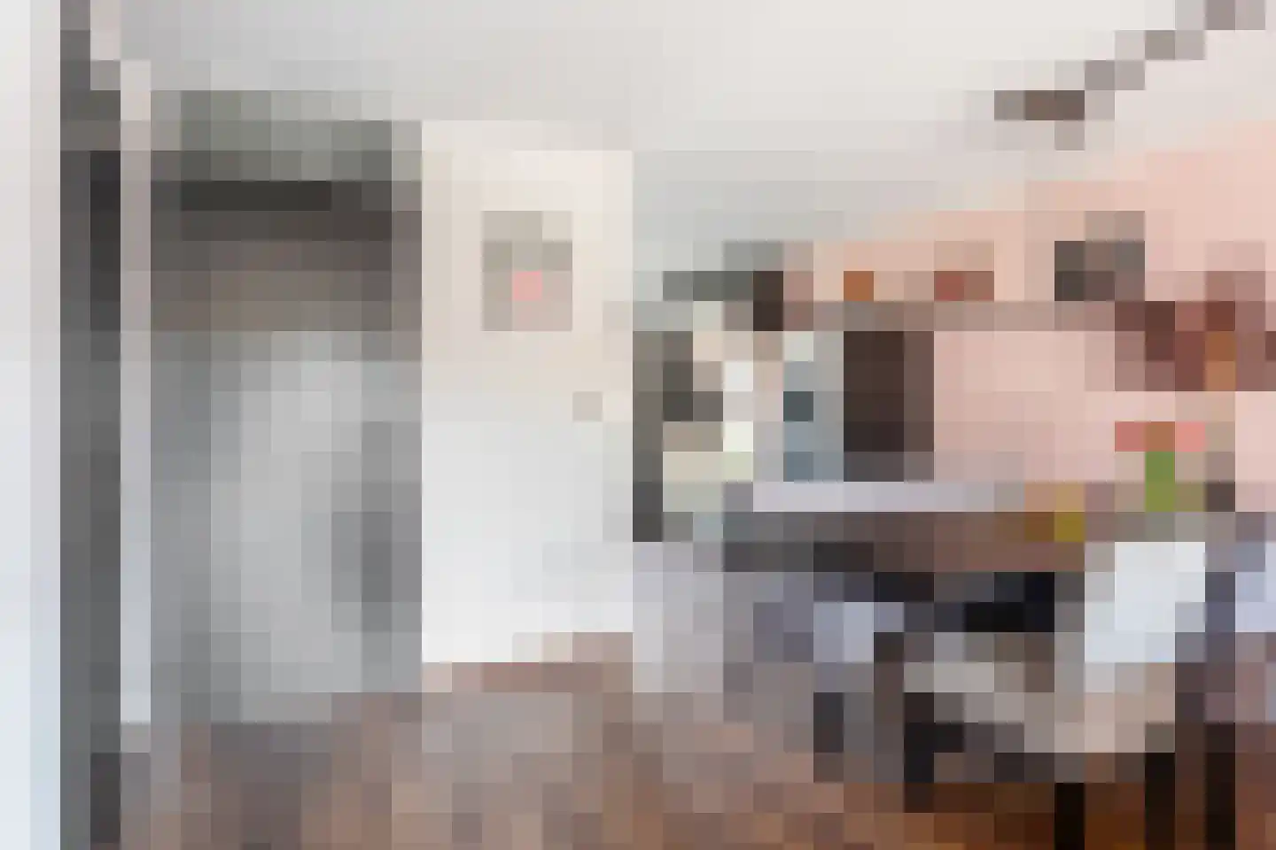Laan van Magisch Realisme 204 Rotterdam thumbnail 10