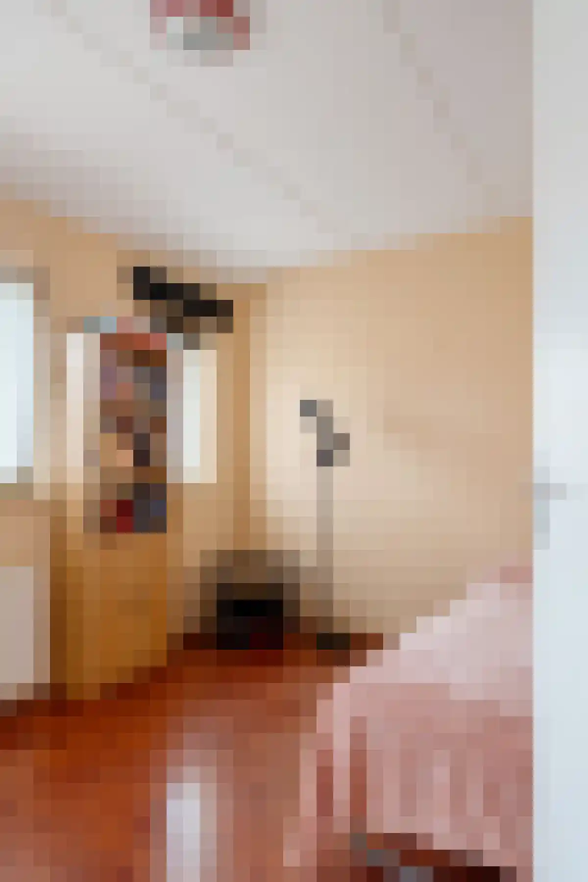 Laan van Magisch Realisme 204 Rotterdam thumbnail 25