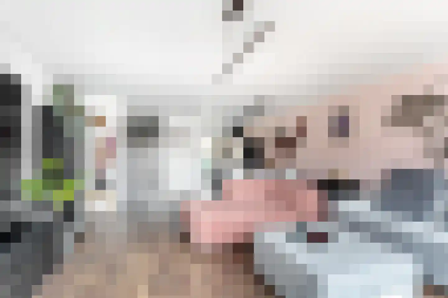Laan van Magisch Realisme 204 Rotterdam thumbnail 5