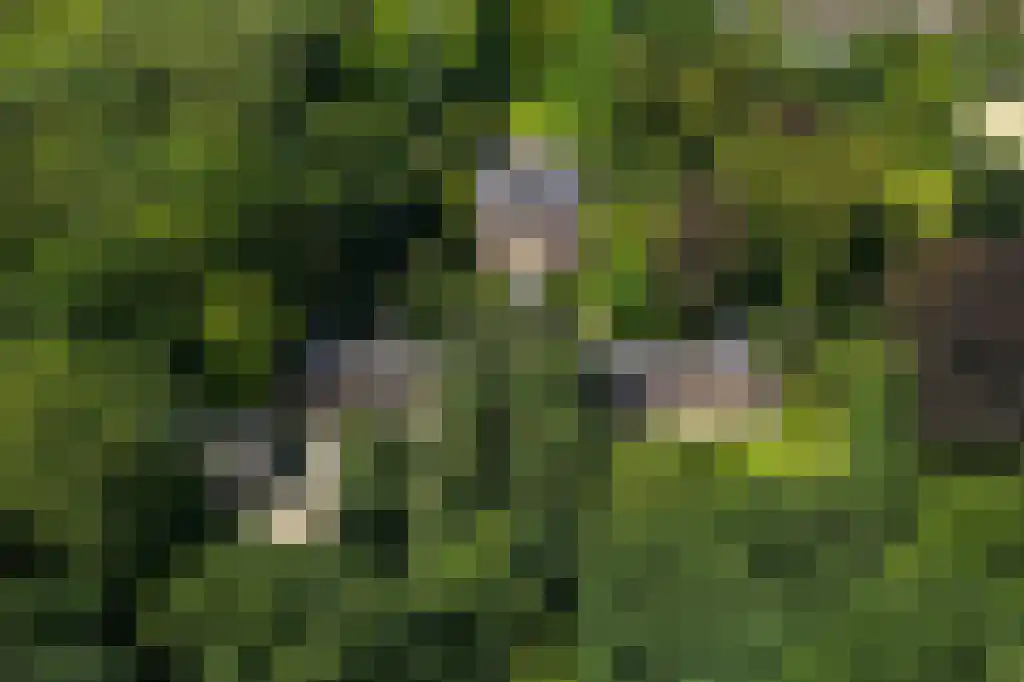 Laan van Marckenburg 3 Nieuwegein thumbnail 5