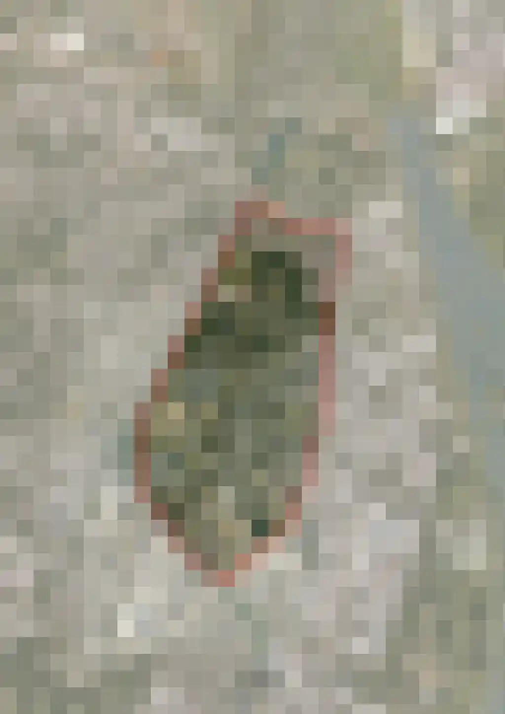 Laan van Marckenburg 3 Nieuwegein thumbnail 6