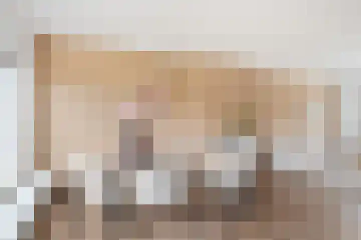 Laan van Mariëndael 16 Sint-Oedenrode thumbnail 11