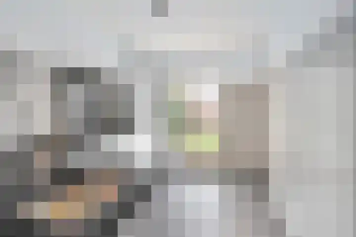Laan van Mariëndael 16 Sint-Oedenrode thumbnail 15