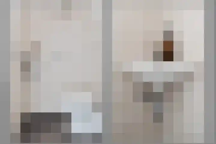 Laan van Mariëndael 16 Sint-Oedenrode thumbnail 17