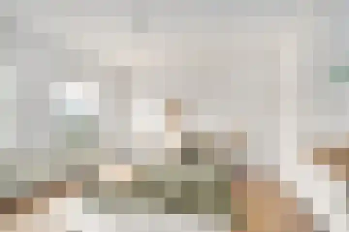 Laan van Mariëndael 16 Sint-Oedenrode thumbnail 23