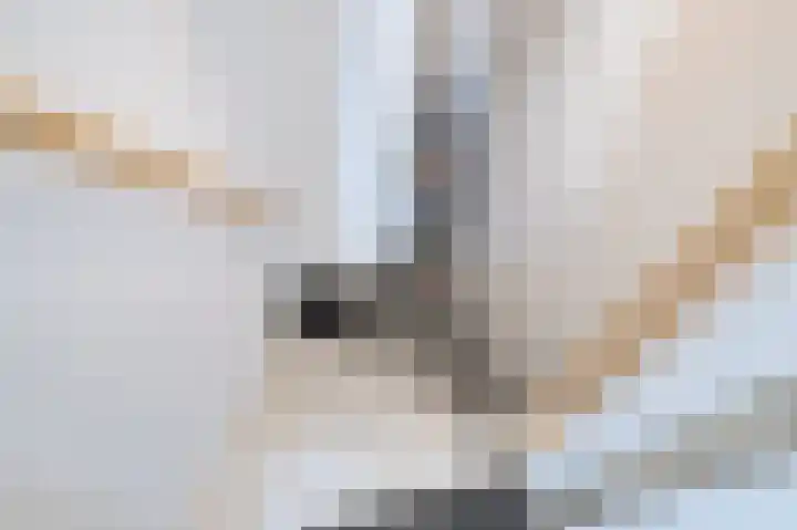 Laan van Mariëndael 38 Sint-Oedenrode thumbnail 15