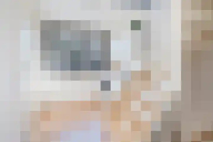 Laan van Mariëndael 38 Sint-Oedenrode thumbnail 31