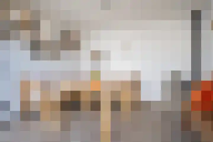 Laan van Mariëndael 38 Sint-Oedenrode thumbnail 36