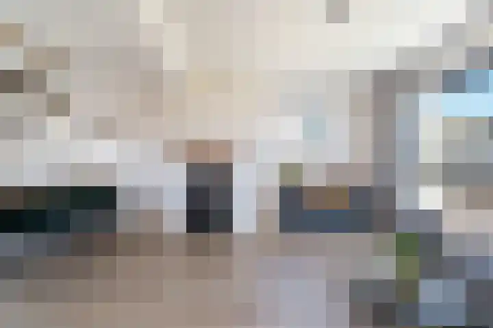 Laan van Mariëndael 38 Sint-Oedenrode thumbnail 7