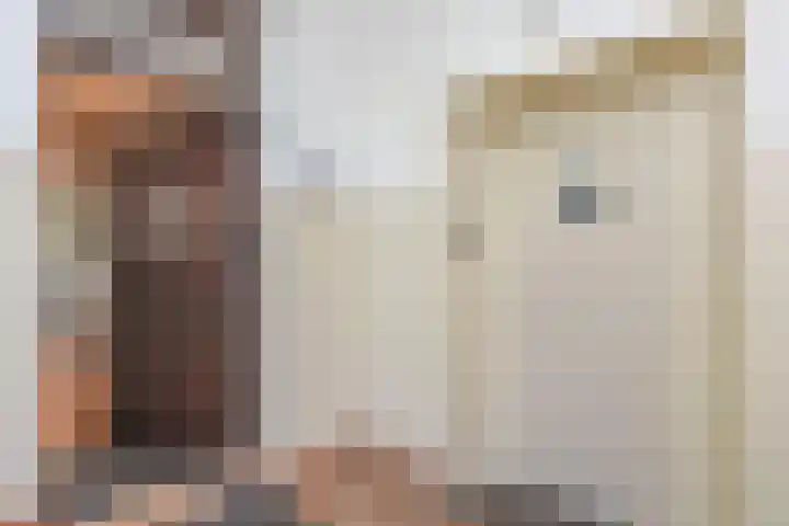 Laan van Meerdervoort 1008 Den Haag thumbnail 10