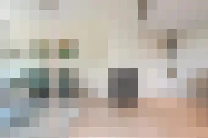 Laan van Meerdervoort 1008 Den Haag thumbnail 13