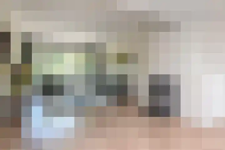Laan van Meerdervoort 1008 Den Haag thumbnail 14