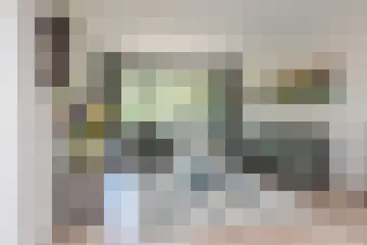 Laan van Meerdervoort 1008 Den Haag thumbnail 15