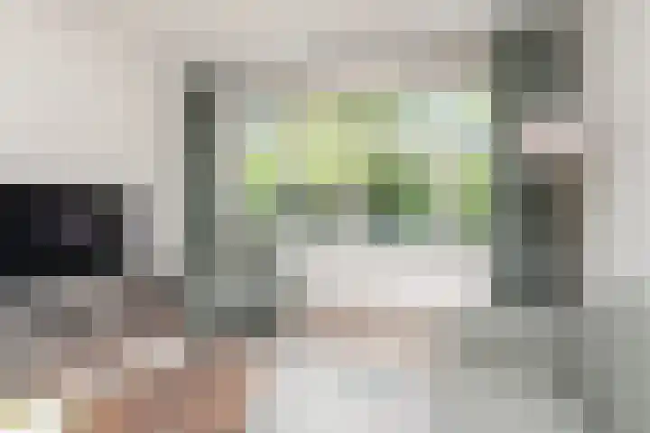 Laan van Meerdervoort 1008 Den Haag thumbnail 16