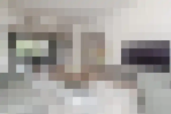 Laan van Meerdervoort 1008 Den Haag thumbnail 18