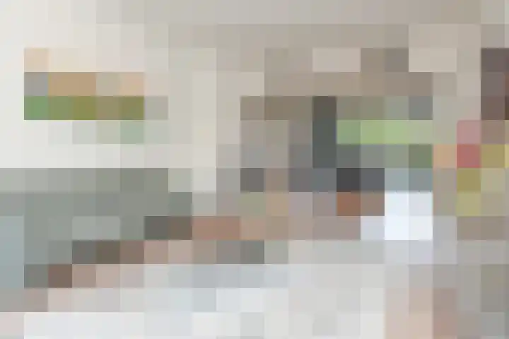 Laan van Meerdervoort 1008 Den Haag thumbnail 19
