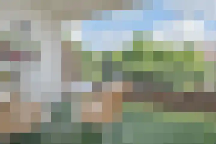 Laan van Meerdervoort 1008 Den Haag thumbnail 23