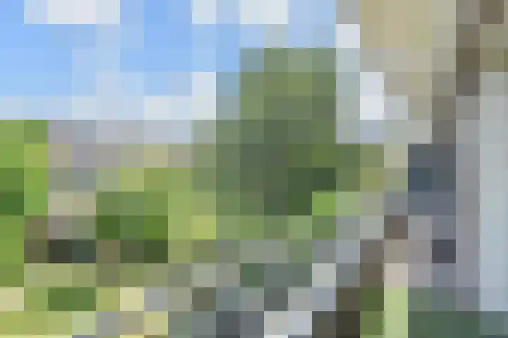 Laan van Meerdervoort 1008 Den Haag thumbnail 25