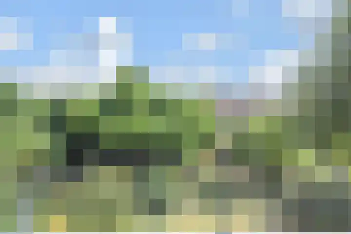 Laan van Meerdervoort 1008 Den Haag thumbnail 26
