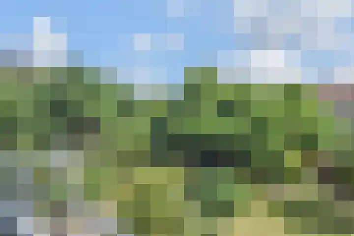 Laan van Meerdervoort 1008 Den Haag thumbnail 27