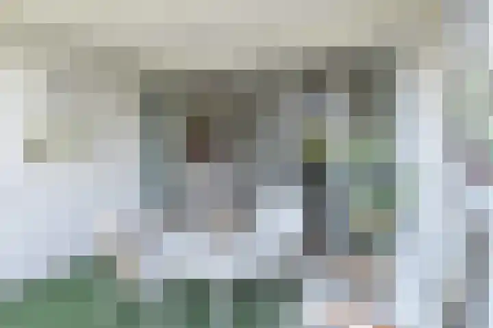 Laan van Meerdervoort 1008 Den Haag thumbnail 29