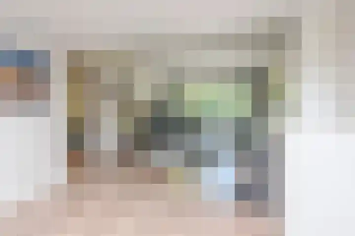 Laan van Meerdervoort 1008 Den Haag thumbnail 32