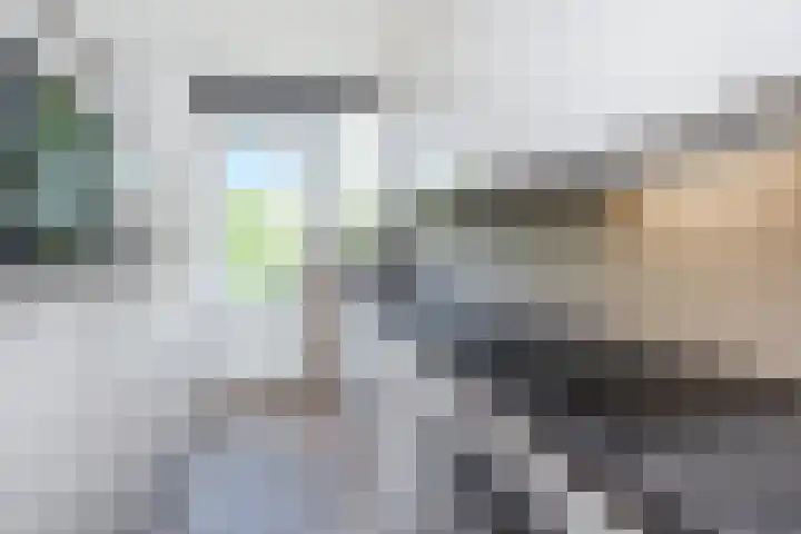 Laan van Meerdervoort 1008 Den Haag thumbnail 34
