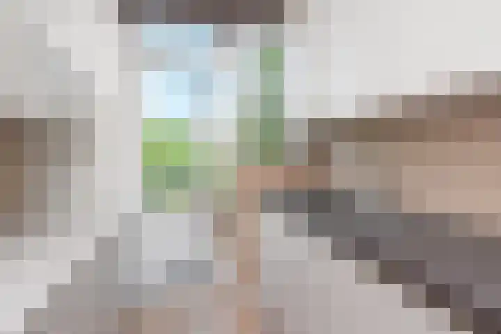 Laan van Meerdervoort 1008 Den Haag thumbnail 35