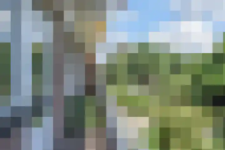 Laan van Meerdervoort 1008 Den Haag thumbnail 36