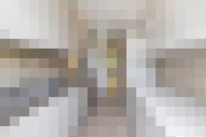 Laan van Meerdervoort 1008 Den Haag thumbnail 37