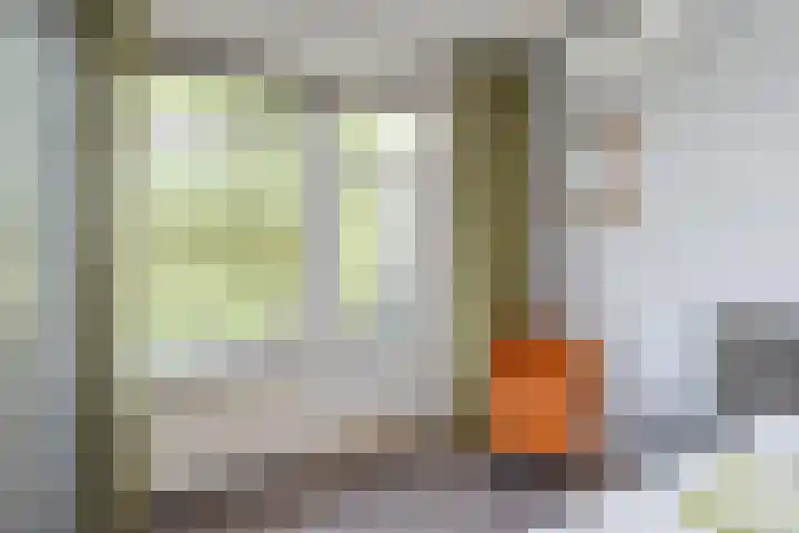 Laan van Meerdervoort 1008 Den Haag thumbnail 41