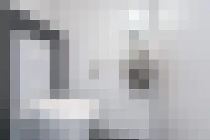 Laan van Meerdervoort 1008 Den Haag thumbnail 48