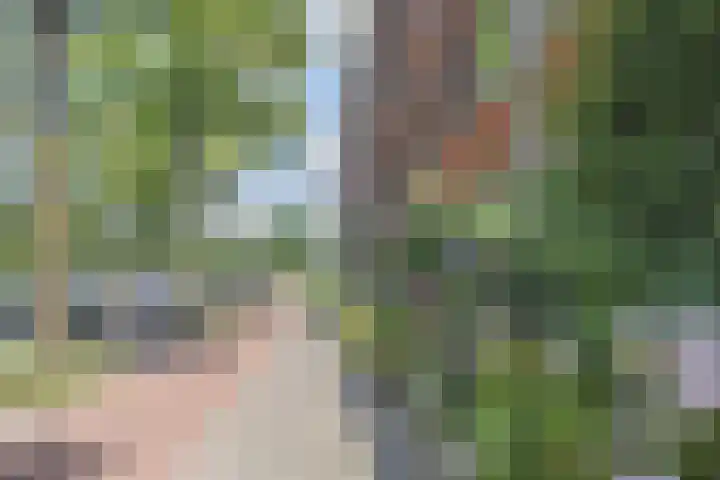 Laan van Meerdervoort 1008 Den Haag thumbnail 51