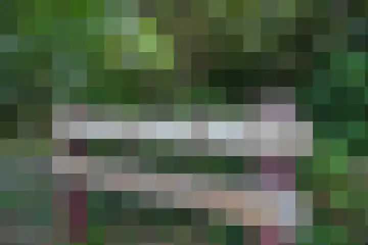 Laan van Meerdervoort 1008 Den Haag thumbnail 54
