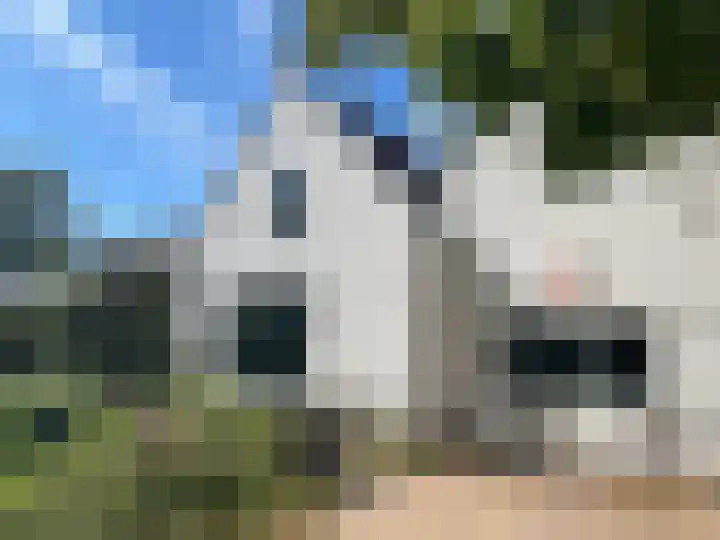 Laan van Meerdervoort 1008 Den Haag thumbnail 55