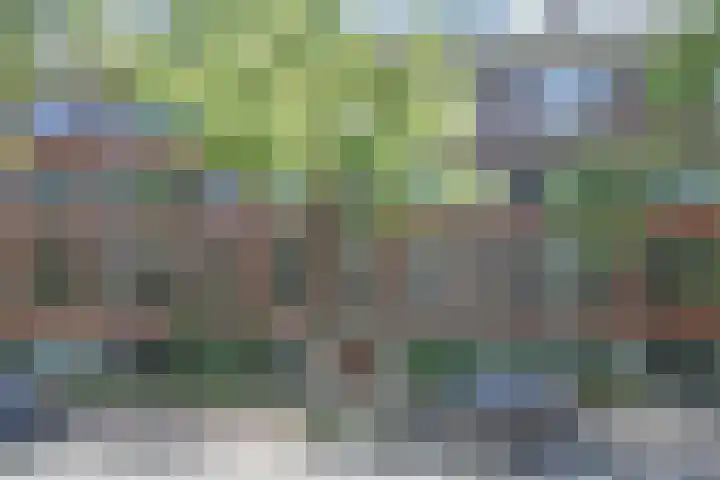 Laan van Meerdervoort 1008 Den Haag thumbnail 6
