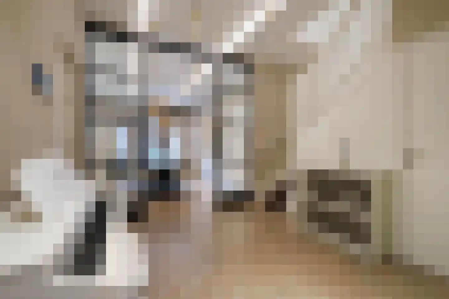 Laan van Meerdervoort 104 A Den Haag thumbnail 10