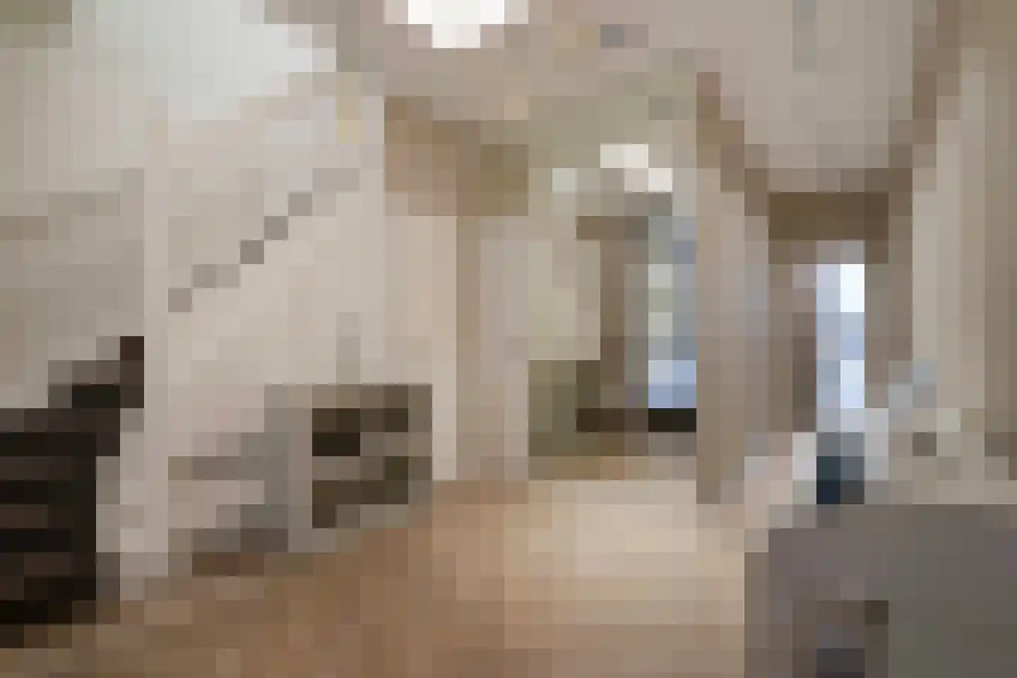Laan van Meerdervoort 104 A Den Haag thumbnail 12