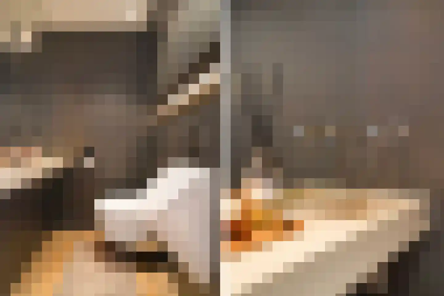 Laan van Meerdervoort 104 A Den Haag thumbnail 13