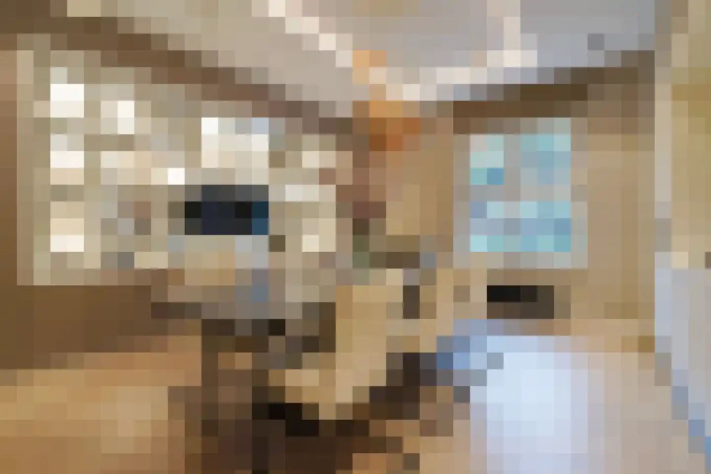 Laan van Meerdervoort 104 A Den Haag thumbnail 16