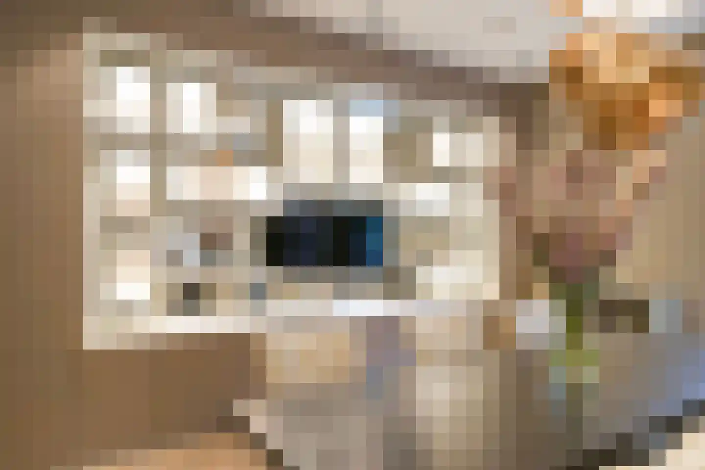Laan van Meerdervoort 104 A Den Haag thumbnail 17