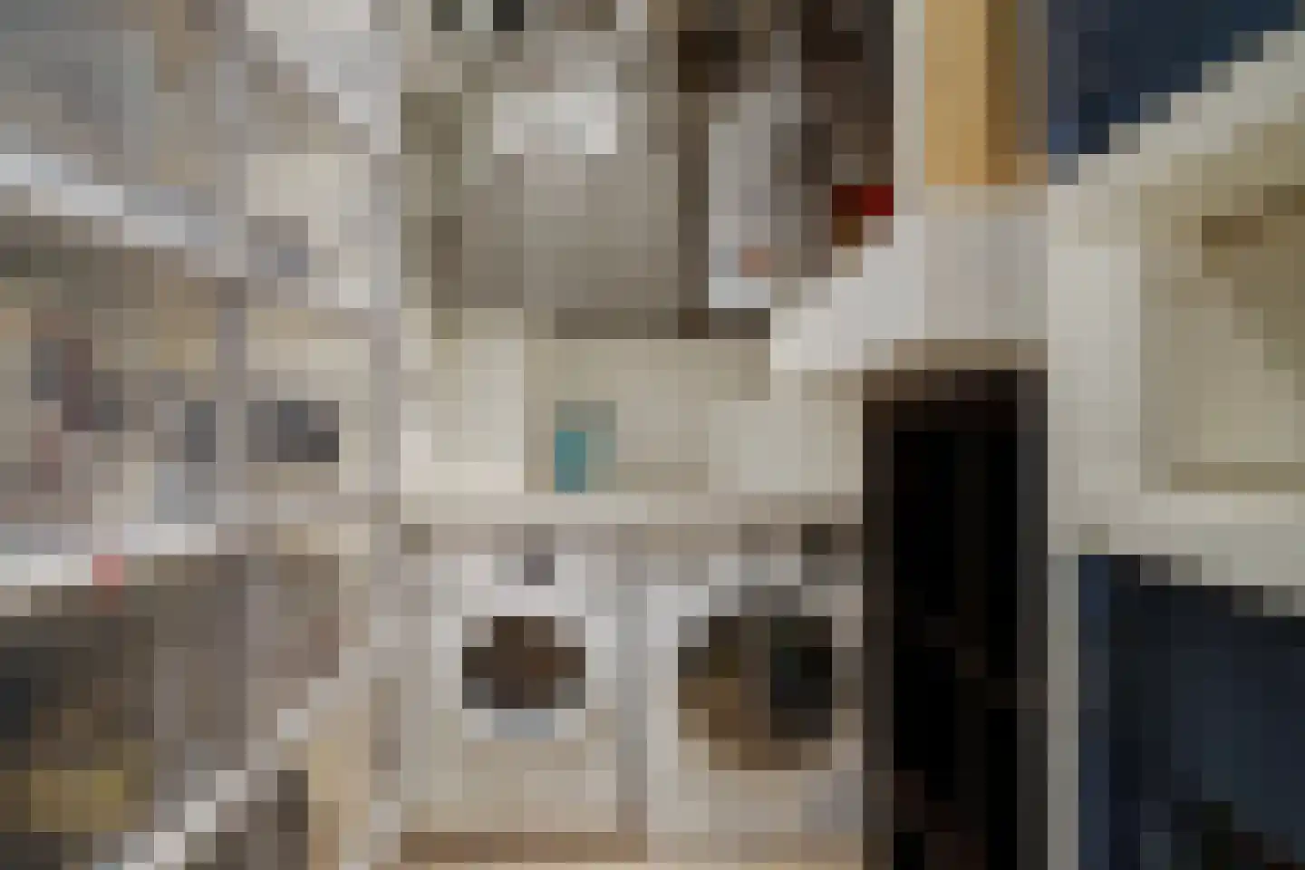 Laan van Meerdervoort 104 A Den Haag thumbnail 32