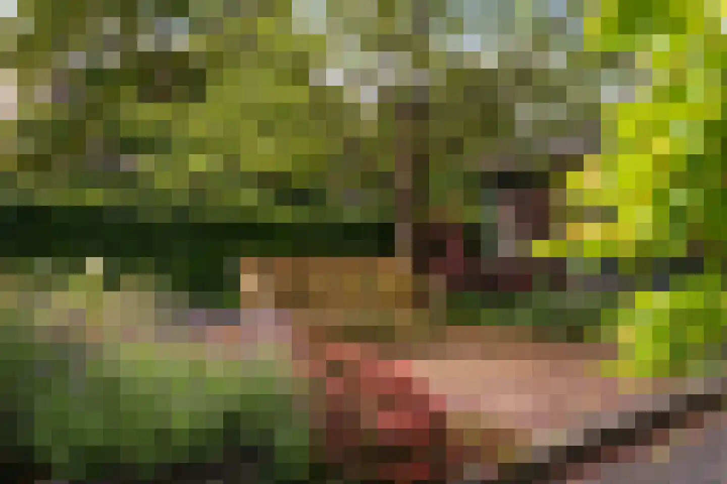 Laan van Meerdervoort 104 A Den Haag thumbnail 37
