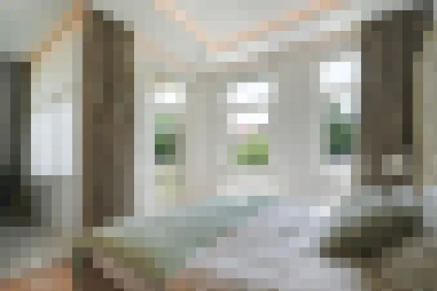 Laan van Meerdervoort 104 A Den Haag thumbnail 47