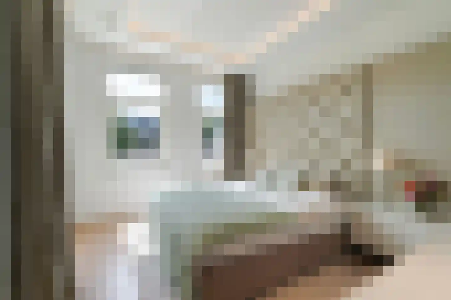 Laan van Meerdervoort 104 A Den Haag thumbnail 49