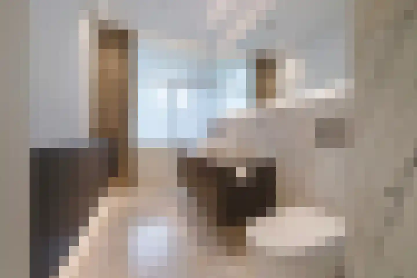 Laan van Meerdervoort 104 A Den Haag thumbnail 50