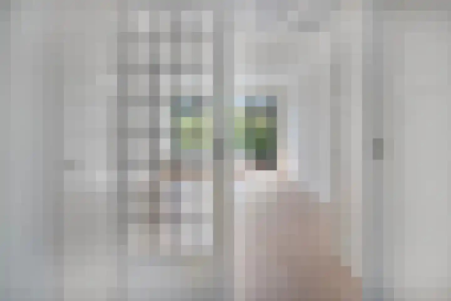 Laan van Meerdervoort 1042 Den Haag thumbnail 12