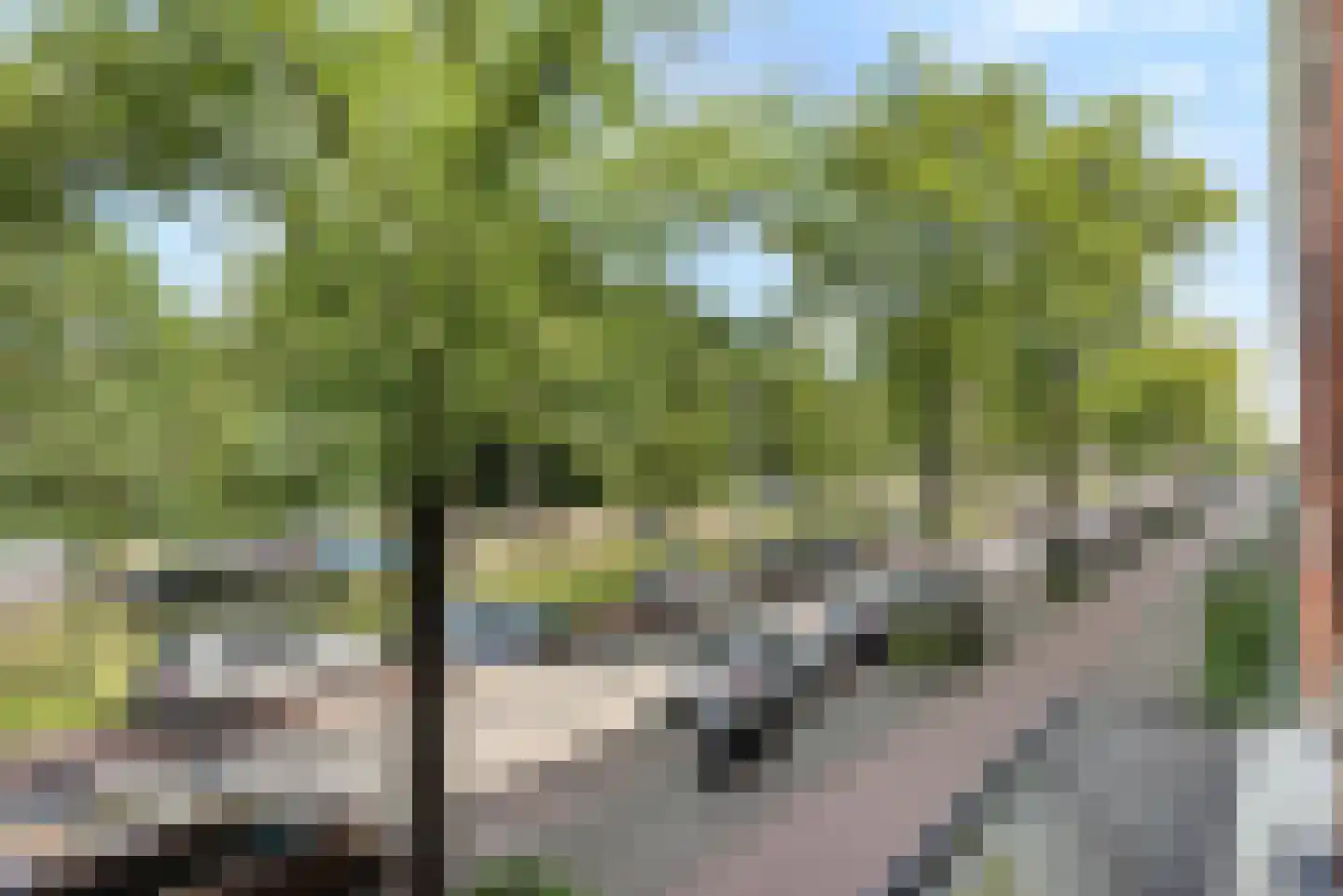 Laan van Meerdervoort 1042 Den Haag thumbnail 23